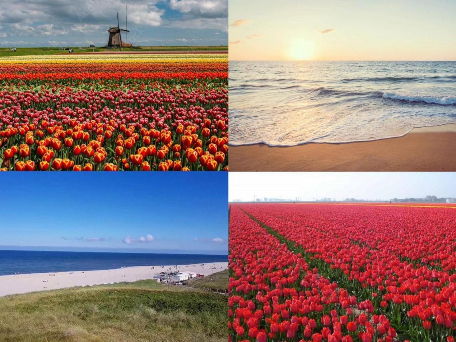 Wijde Blick Callantsoog Esterno foto